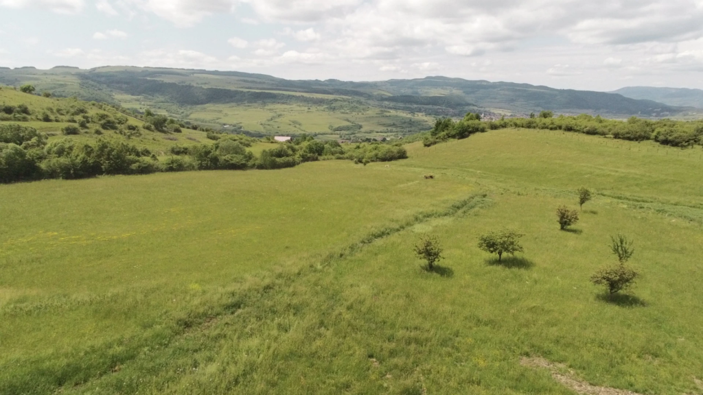 Kemping Legi2 1024x576